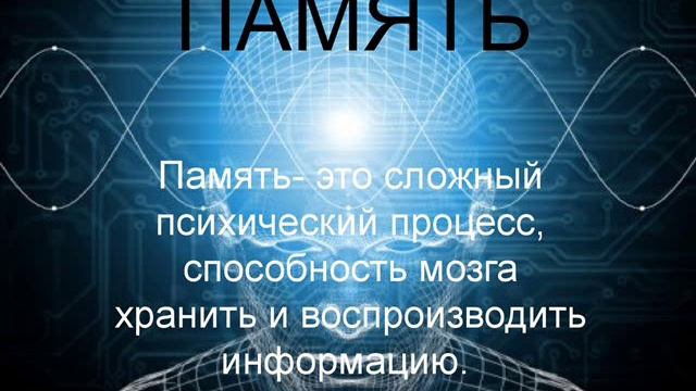 Книга МИР ВНУТРИ НАС  О ПАМЯТИ