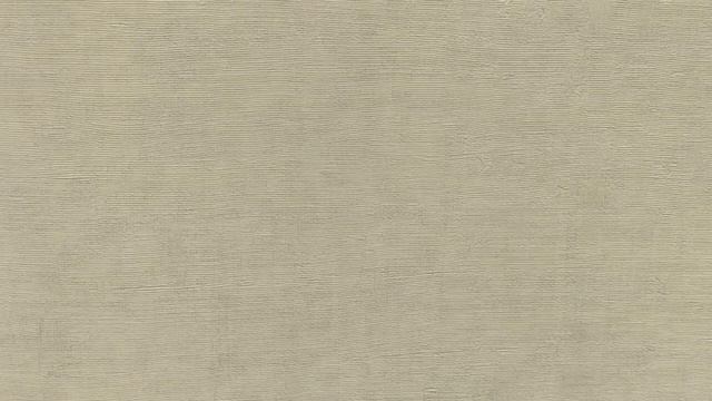 Обзор обоев Sirpi Textures 24050