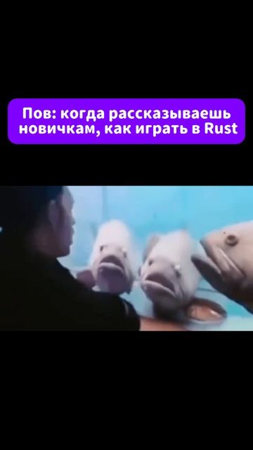 Rust новички #shorts #rust #раст