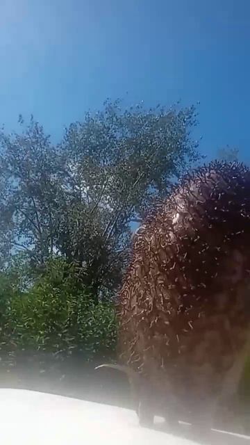 10-02-2025