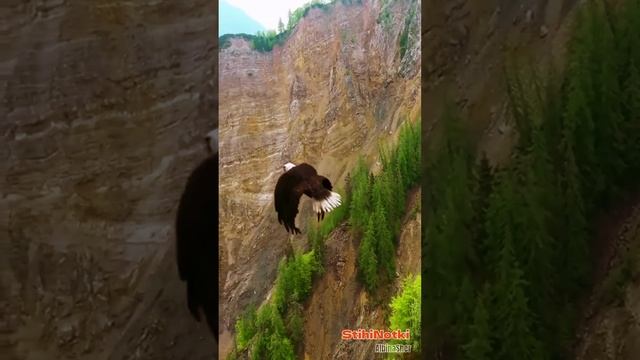 Узник (Сижу за решеткой в темнице сырой)