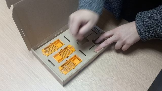 Коробка EMS6.24 для пересылки пчелиных маток