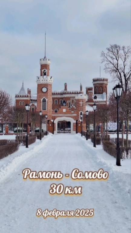 8 февраля 2025 года. Длительная медлительная пробежка в зимнем лесу