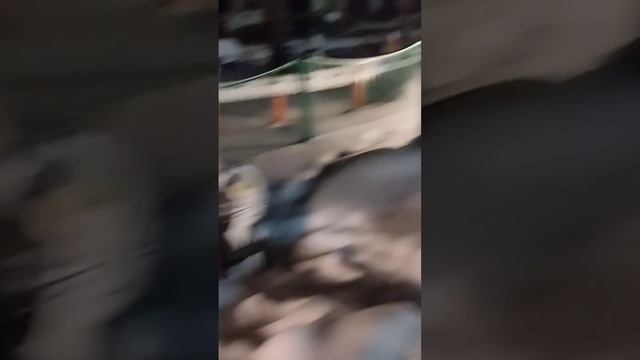 Тюмень горячий источник сосновый бор.. обзор
