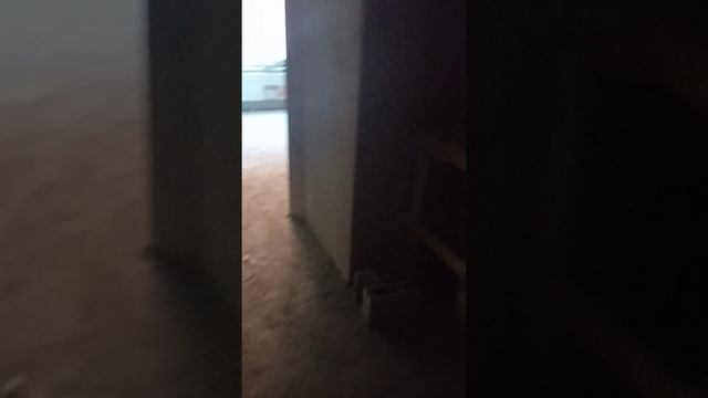 VID_20250210_095041.mp4