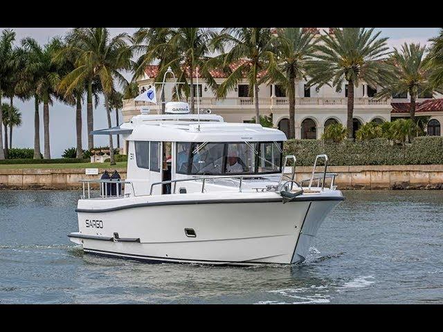 Sargo 31
