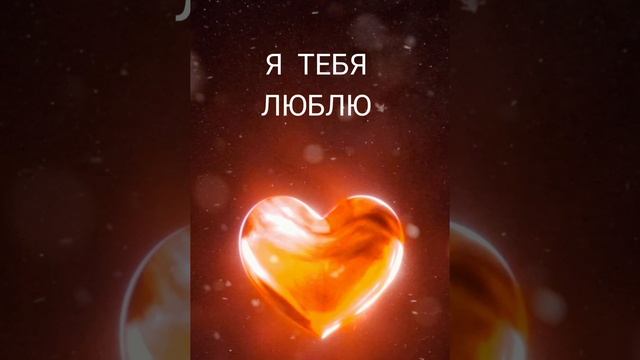 Я ТЕБЯ ЛЮБЛЮ. Песня о любви.