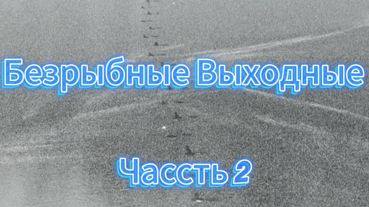 Безрыбные выходные ЧАСТЬ-2 (09.02.2025)