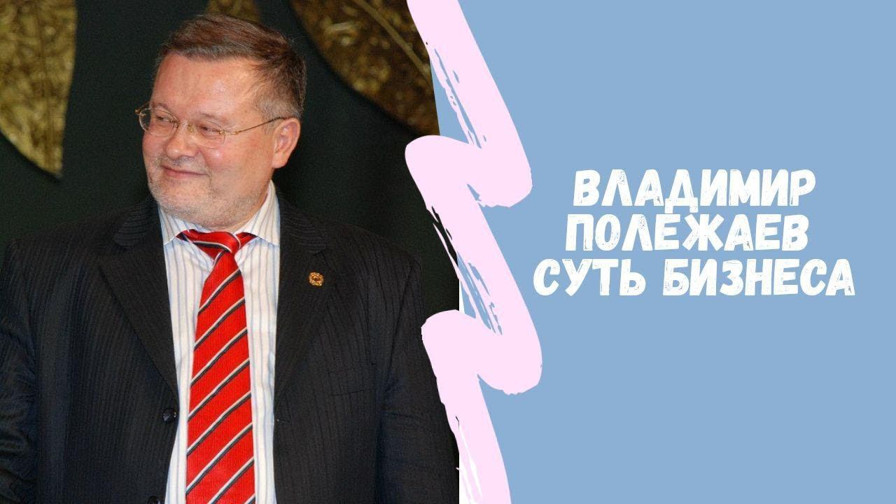 Владимир Полежаев Презентация бизнеса |  Суть бизнеса