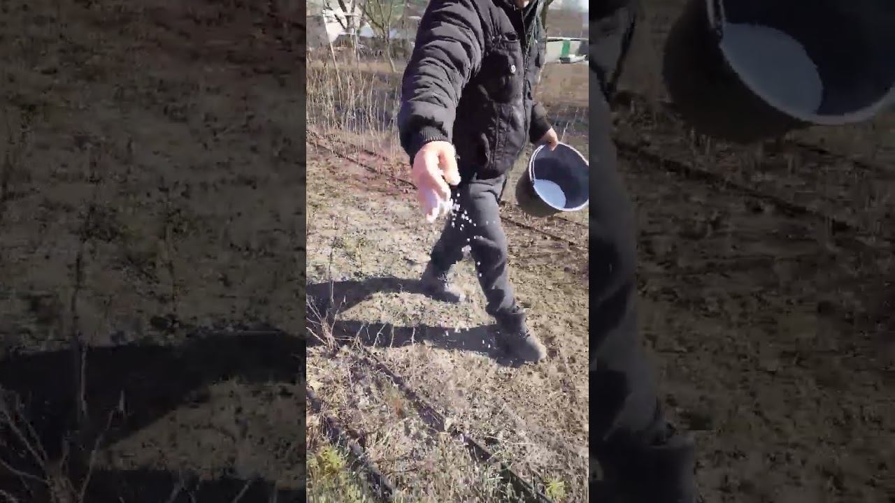 Внесение минеральных удобрений ✅☑️✅