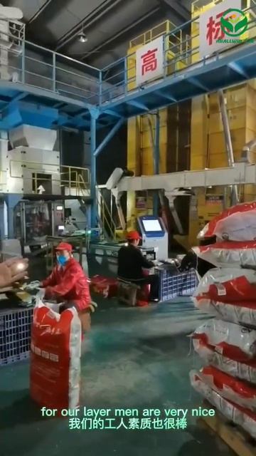 Dr. Rizwan will show you around Hubei AllWin processing and packaging workshop