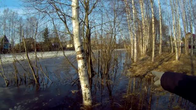 Брусовица17г