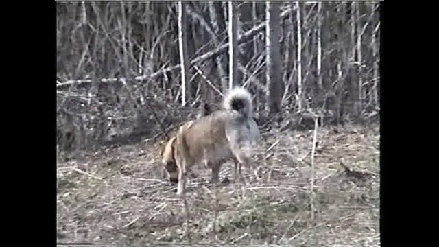 данька17г