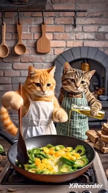 умный Кошки