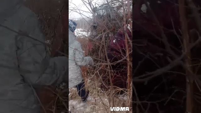 гуляем по корьерам