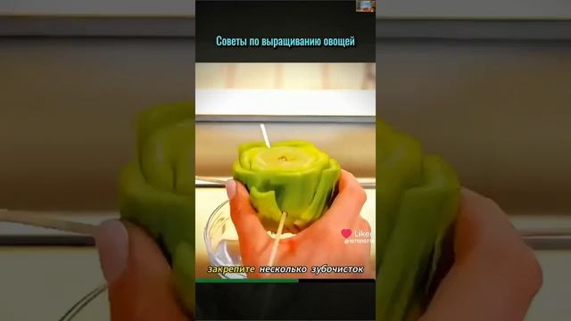 Лайфхаки