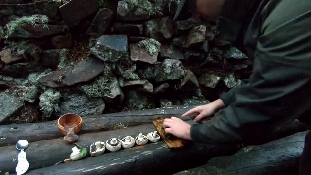 Лесные - строим крышу в каменном доме, рысь пришла  хроники каменного дома