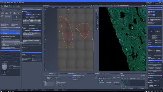 Running the Zeiss Cell Discoverer7, CD7