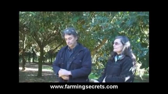 A Sneak Peak At A Macadamia Farm Using Compost Pt 2 of 3