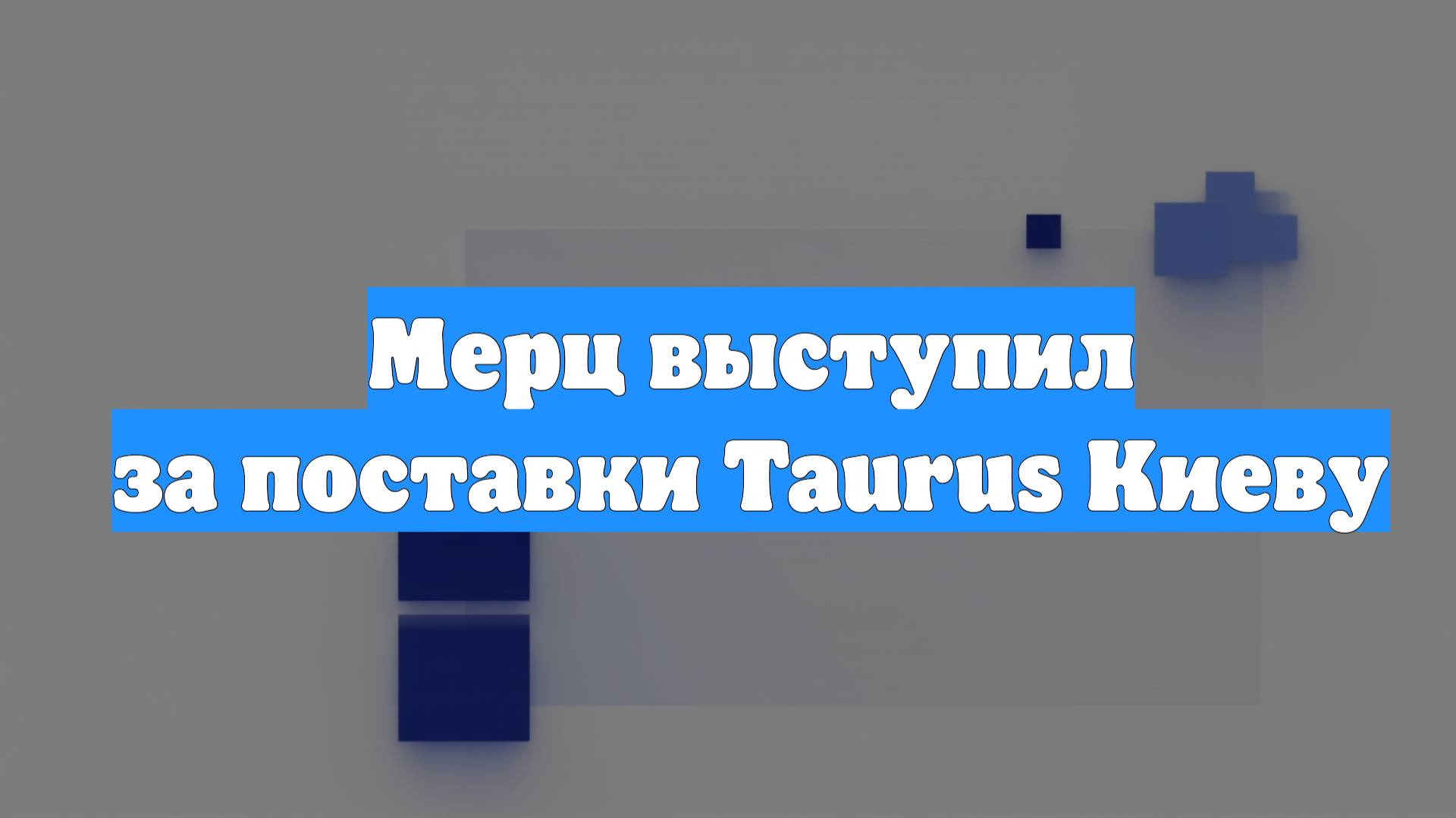 Мерц выступил за поставки Taurus Киеву