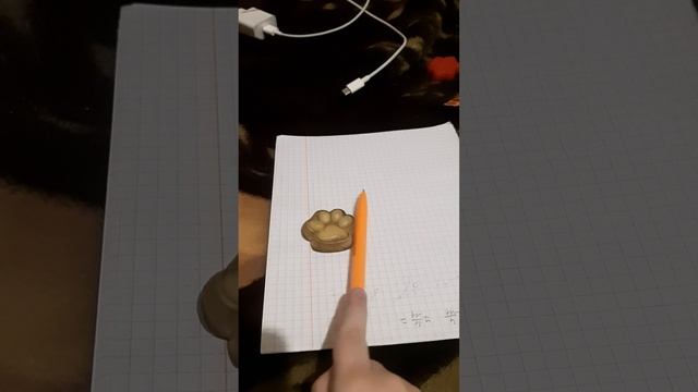 20250210_213959.mp4