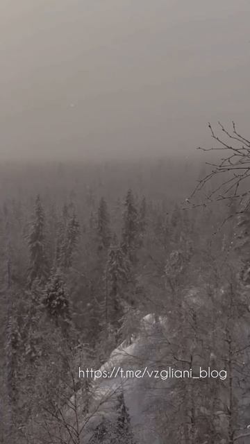 Гора Шунут, Свердловская область🏔🌅❄️https://t.me/vzgliani_blog #video #travel #like #nature #short