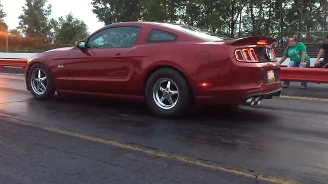 turbo coyote