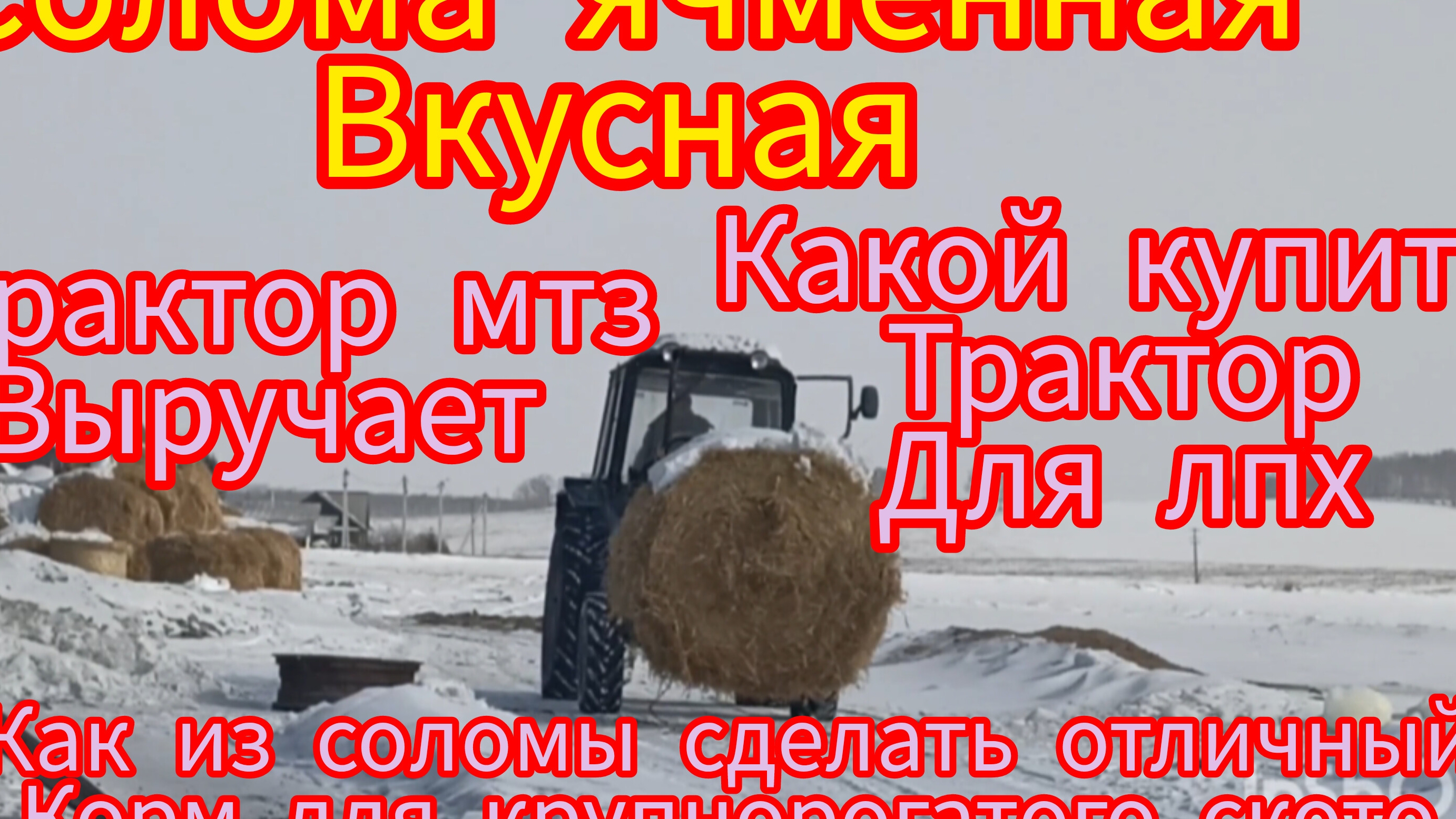 Трактор времён СССР мтз82 с фронтальным погрузчиком .