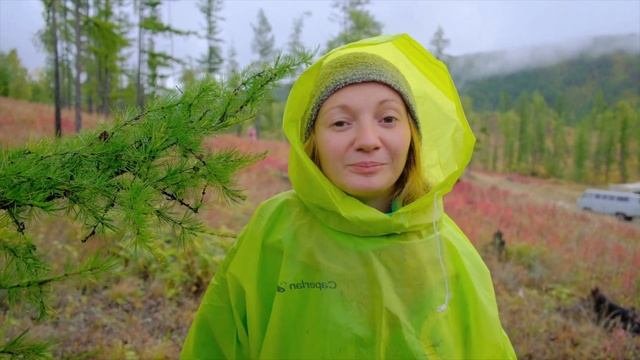 Документальный фильм «По доброй воле»
