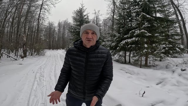 Под хвост ушли деньги