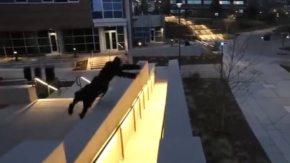 Parkour Ninja Master Ninja