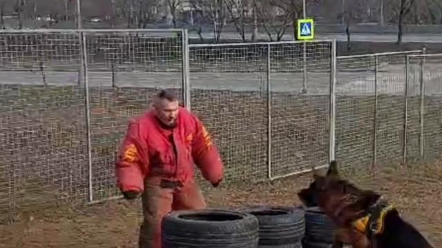 1000169958.mp4
