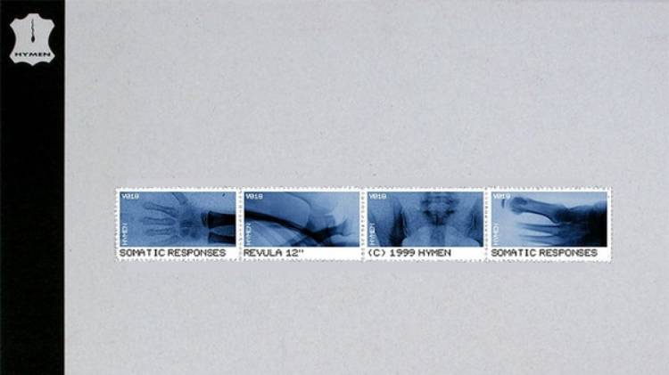 Somatic Responses - Ucircumflex