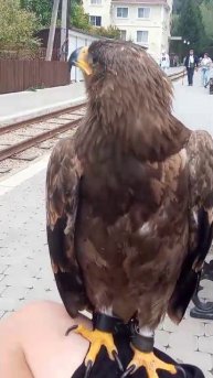 Счастье живет рядом с нами