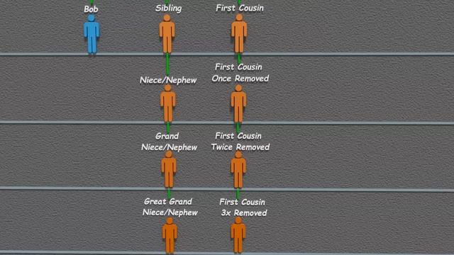 What's a Second Cousin Once Removed