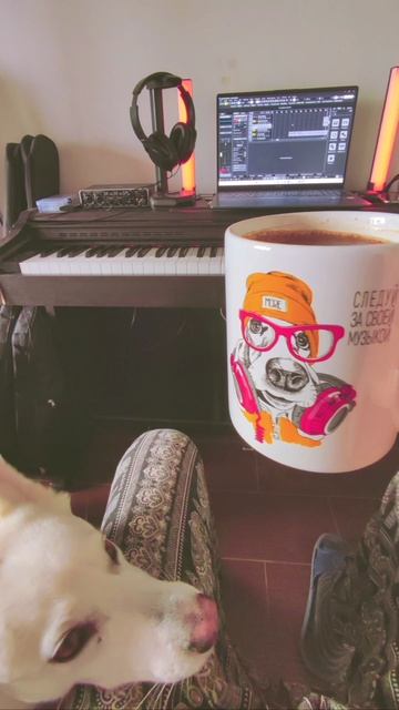 За что вы любите свою жизнь?