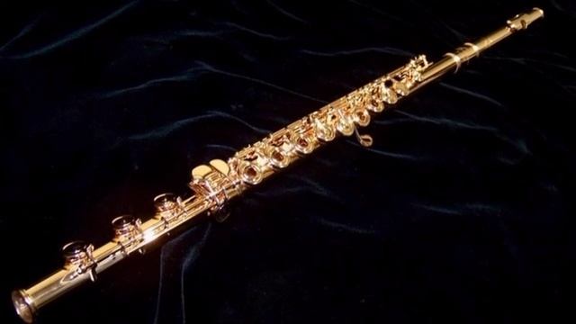 Adagio (Tomaso Albinoni) flute orchestra