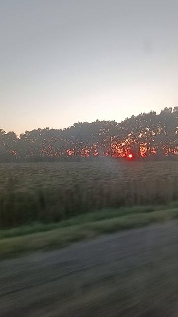 Дорога.