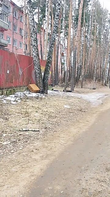На улицах поселка захламление