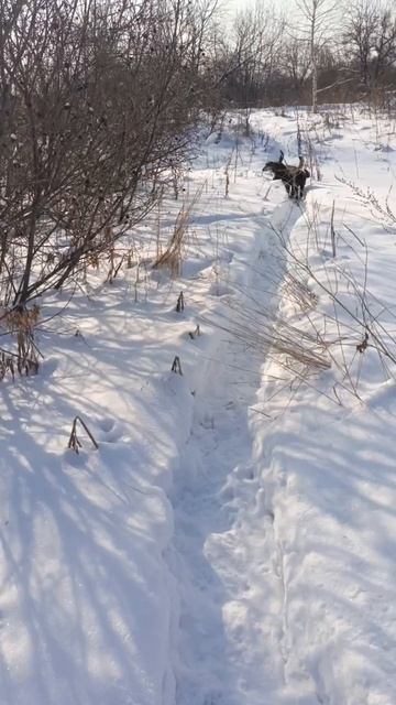 гости