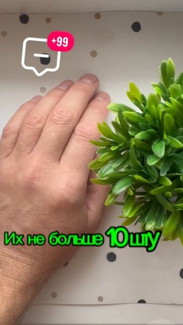 Развиваем интуицию