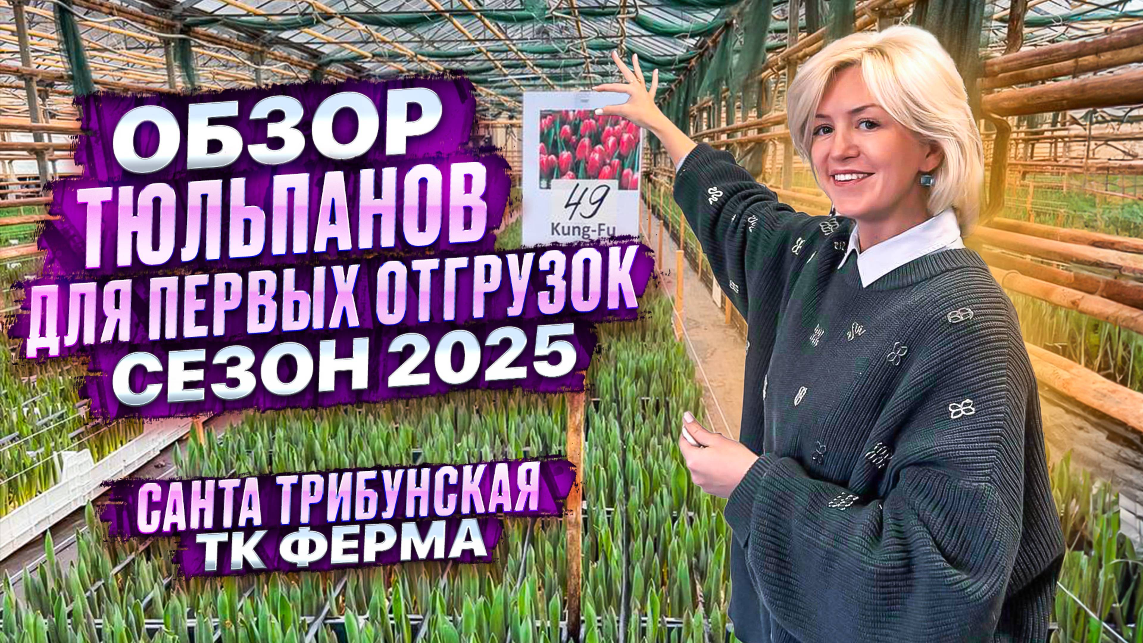 ОБЗОР ТЮЛЬПАНОВ ДЛЯ ПЕРВЫХ ОТГРУЗОК