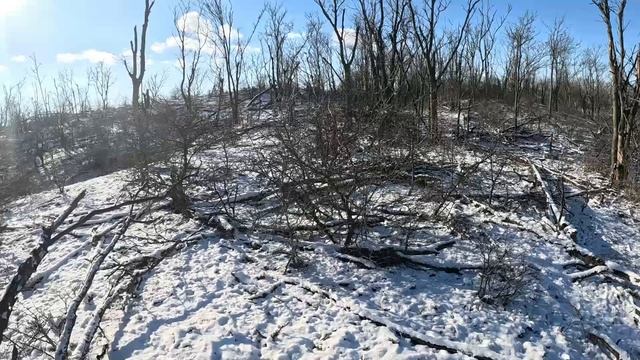 охота на зайца в Чечне зимой