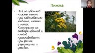 Никитина Лилия