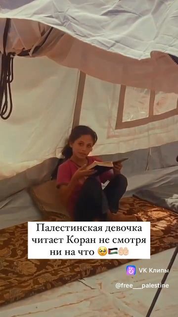 Девочка читает Коран ( Истинное слово Аллаха ) во время взрывов на святых землях