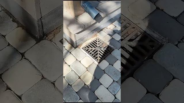 заповедник парк снегрии