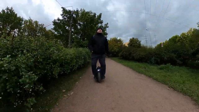 Осенняя дубовая роща 23 09 2022