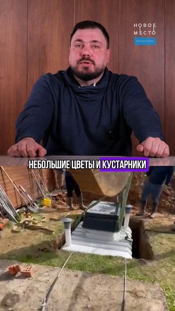 Какие растения можно сажать рядом с септиком?
