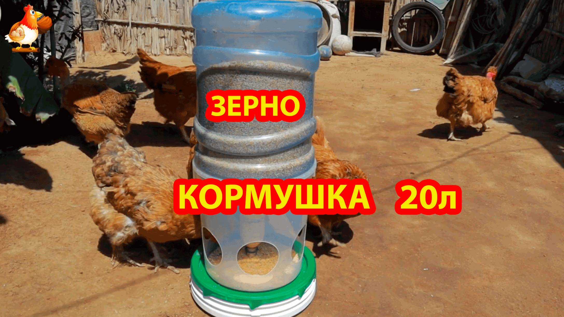 Большая бункерная кормушка 20 л из бутыли и ведра на подставке понравилась несушкам 💦🐓❣️