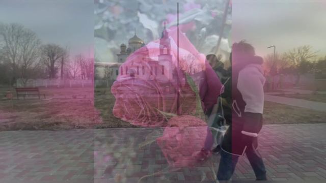 МЕДИАВИЗИТВКА Гутманова А.В.